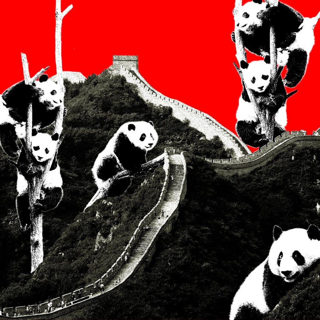 Wired Digest: January ,