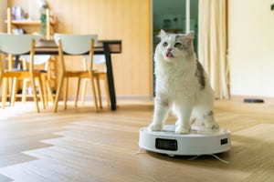 CNET Digest: April ,